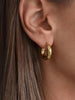 Chunky Hoop Earrings - Arabella Cleo
